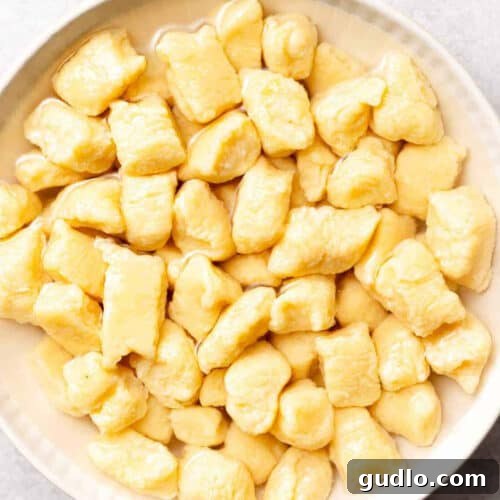 Pillowy Homemade Ricotta Gnocchi 4 A beautifully presented serving of homemade ricotta gnocchi in a bowl, perfectly sauced and garnished, ready to be enjoyed.