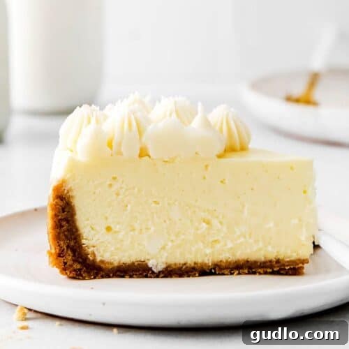 Instant Pot Cheesecake Perfection 2 Instant pot cheesecake on a white plate.
