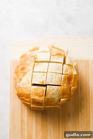 Sourdough loaf carefully sliced in a diamond pattern