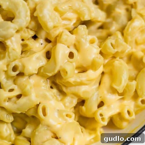 The Definitive Mac and Cheese Sauce 7 Homemade Mac and Cheese in a bowl