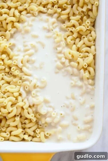 Effortless Golden Baked Macaroni 3 Baked mac and cheese in a dish, showing the creamy texture
