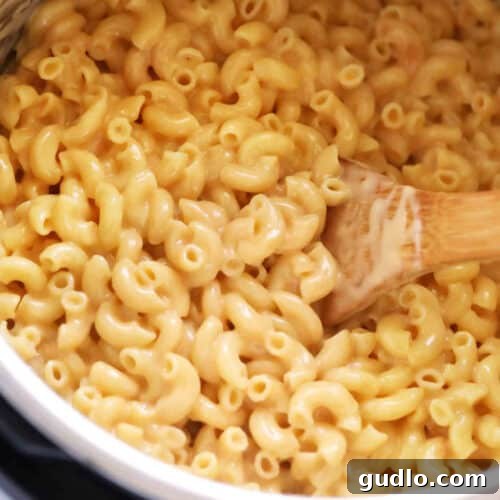 Creamy macaroni and cheese in an Instant Pot, with a serving spoon, showcasing its perfect texture.