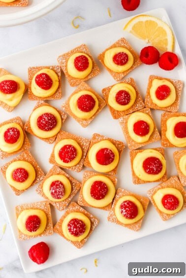 a plate with lemon and raspberry tarts on it.