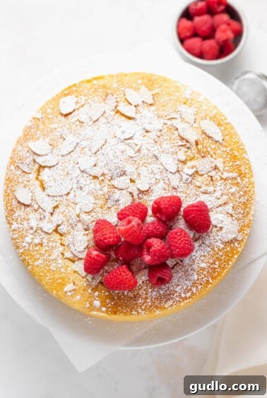 Zesty Lemon Ricotta Cloud Cake 5 a cake with raspberries and powdered sugar on a white plate.