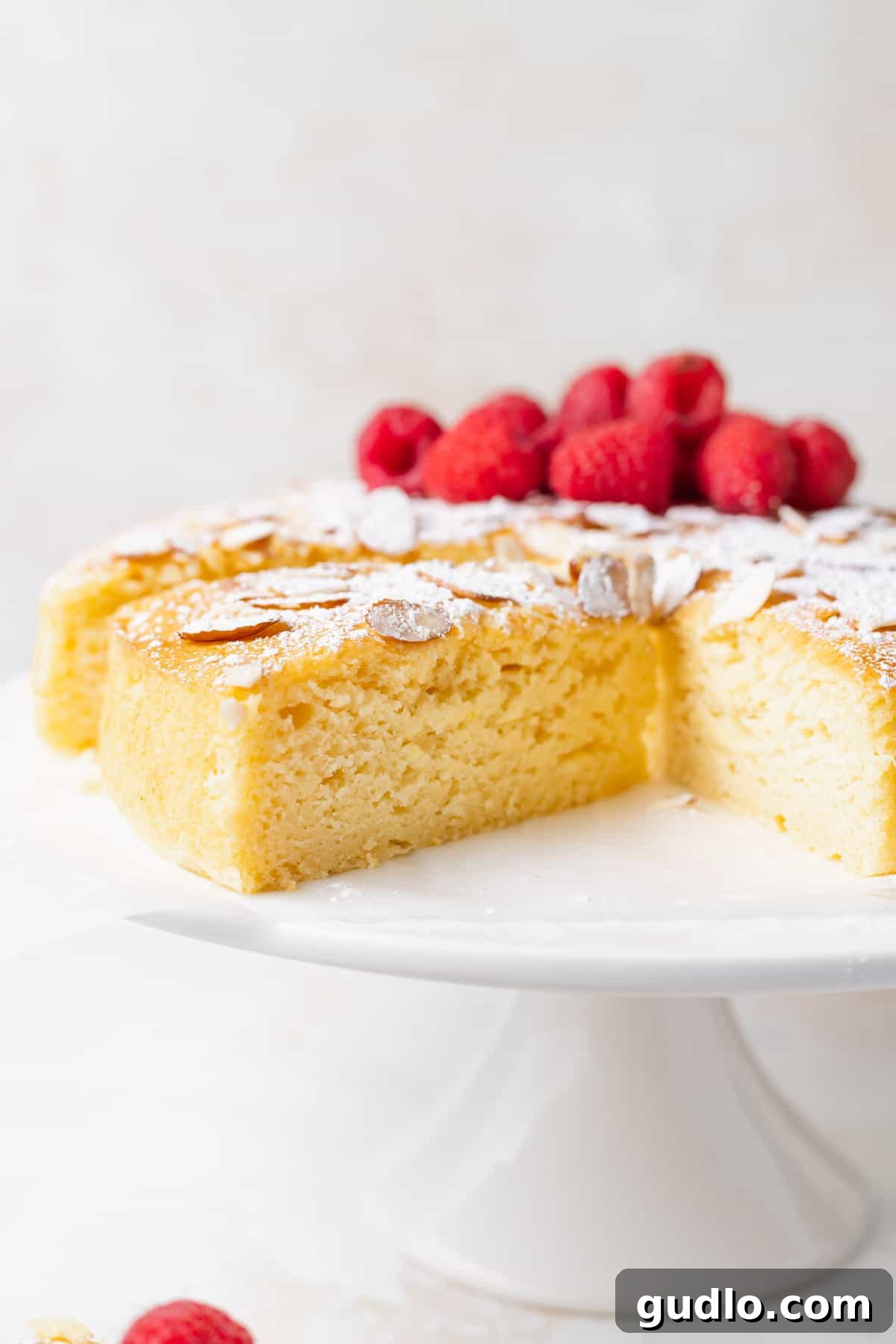 Make any occasion special with this deliciously fluffy and moist lemon ricotta cake that's made from 9 simple ingredients. Enjoy! A perfectly baked slice of lemon ricotta cake topped with powdered sugar and slivered almonds