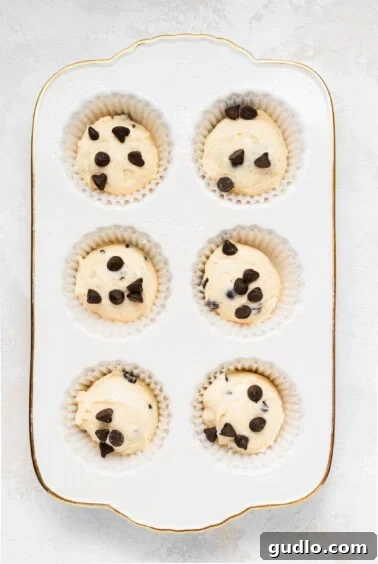 Golden-brown ricotta chocolate chip muffins, fresh from the oven, baked in a white muffin pan, showcasing their irresistible texture.