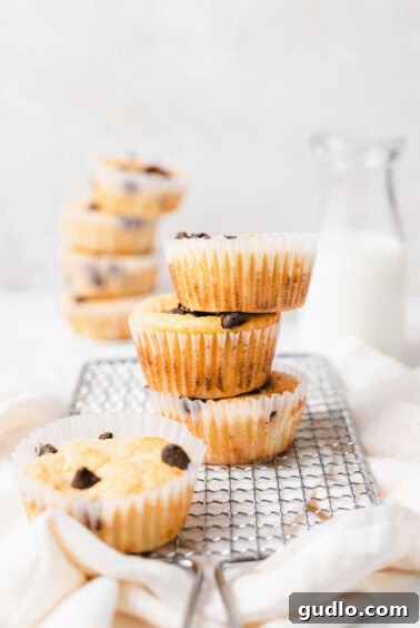 A beautiful stack of freshly baked chocolate chip ricotta muffins resting on a cooling rack, tempting with their golden tops.