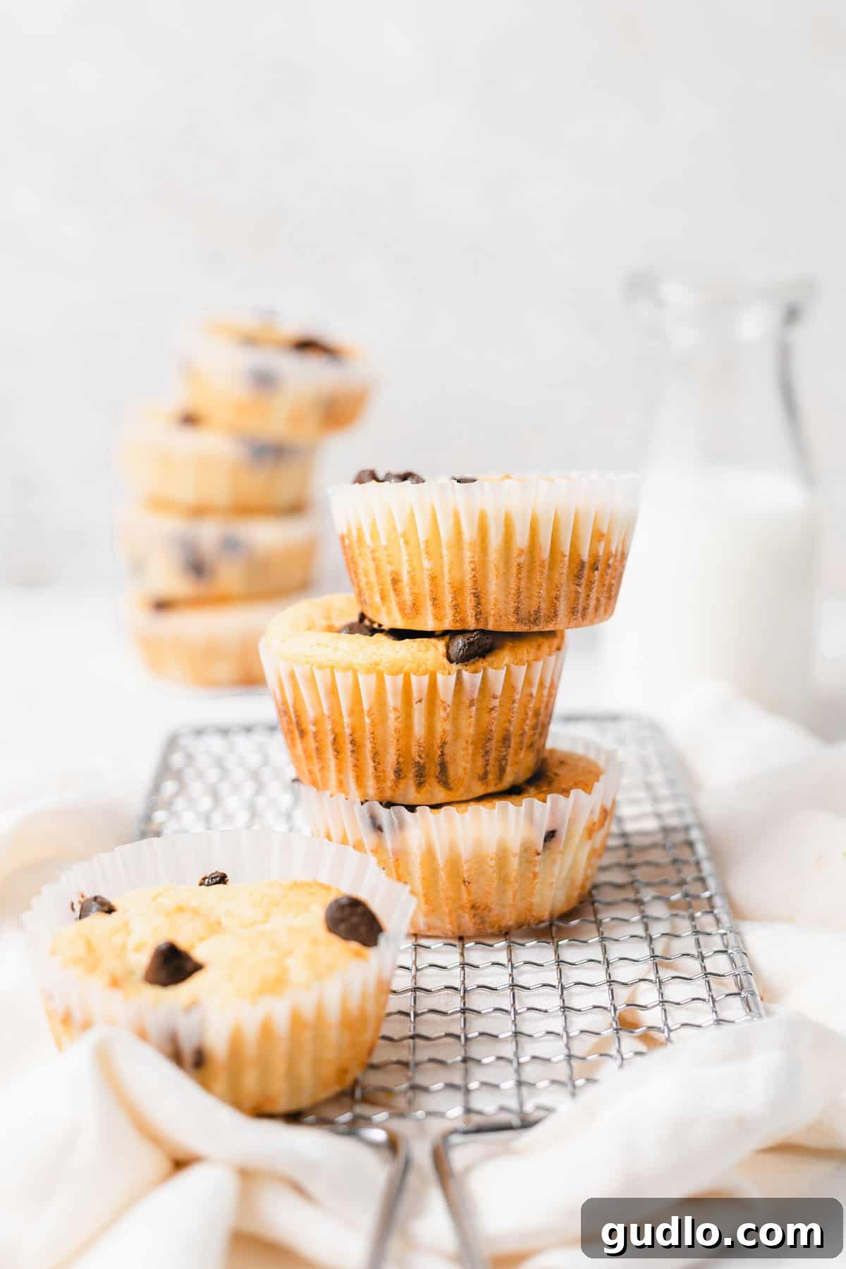 Baked Ricotta Muffins Freshly baked chocolate chip ricotta muffins cooling in muffin liners, showcasing their golden tops and tempting chocolate pools.