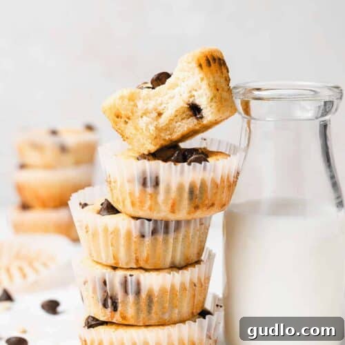 A delicious chocolate chip ricotta muffin, showcasing its golden-brown top and delightful texture.
