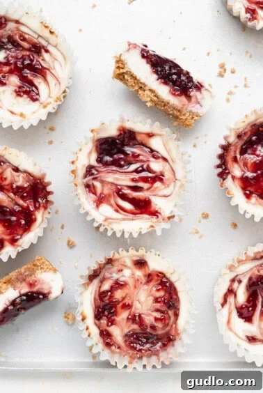 Freshly baked lemon raspberry cheesecake bites cooling on a countertop.