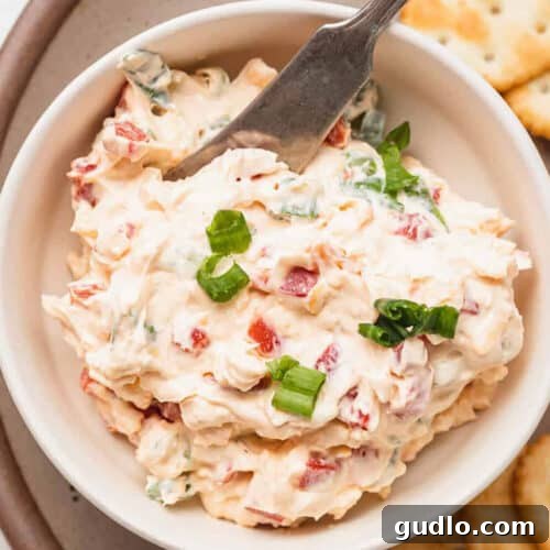 A bowl of cheesy dip with crackers in it.