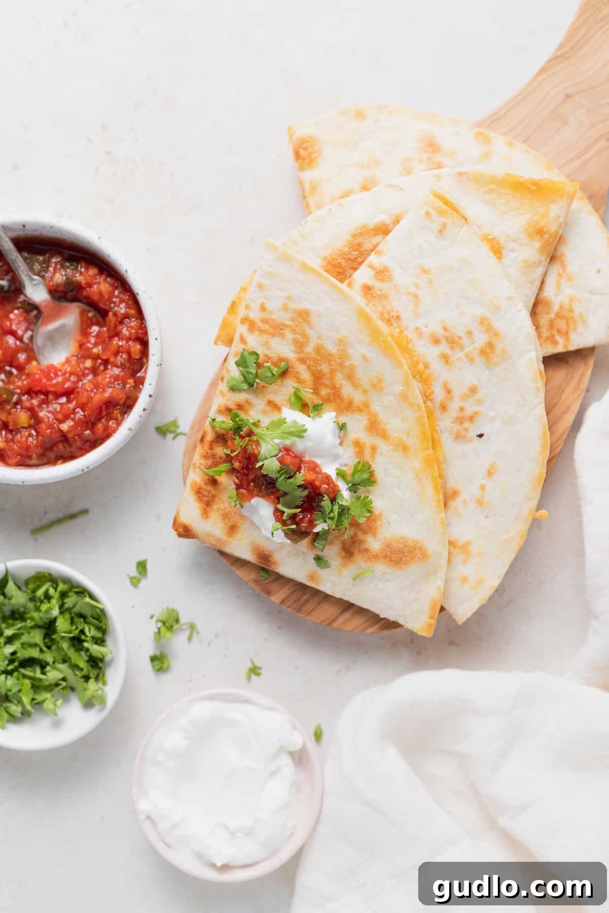 Cheese Quesadilla with Fresh Toppings A vibrant cheese quesadilla garnished with fresh salsa and cilantro, ready to be served.