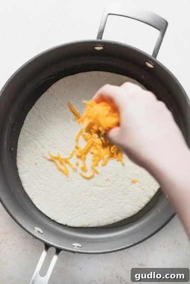 A person carefully adding shredded cheese onto a tortilla in a frying pan, preparing the quesadilla.