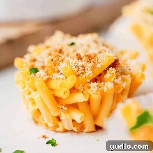 A single mac and cheese cup, golden brown and perfectly portioned.