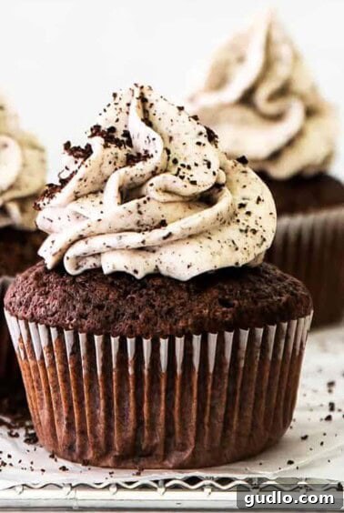 Three chocolate cupcakes elegantly topped with luscious whipped cream and a dusting of powdered sugar.