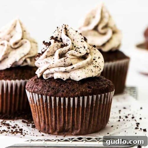 Three chocolate cupcakes topped with whipped cream and powdered sugar.