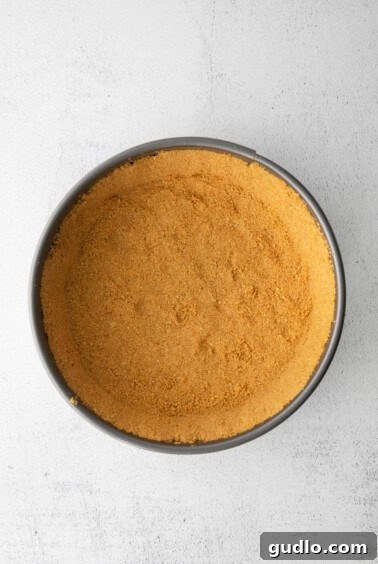 A perfectly pressed graham cracker crust inside a springform pan, ready for the filling.