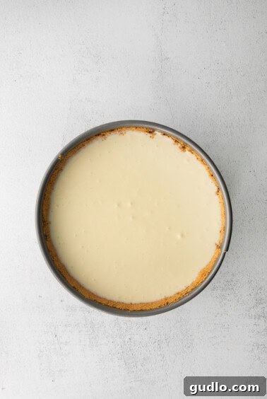 A classic cheesecake displayed on a white background, ready for baking.