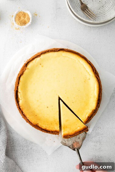A person slicing a Classic Cheesecake, ready to serve.