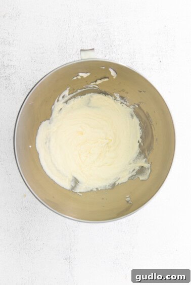 Cannoli filling ingredients in a bowl before being mixed.