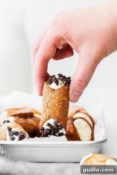 A close-up of a finished cannoli, highlighting its texture and filling.
