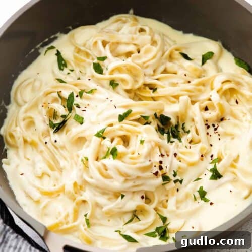 Cheesy pasta with creamy alfredo sauce and parmesan cheese cooked and served in a pan.
