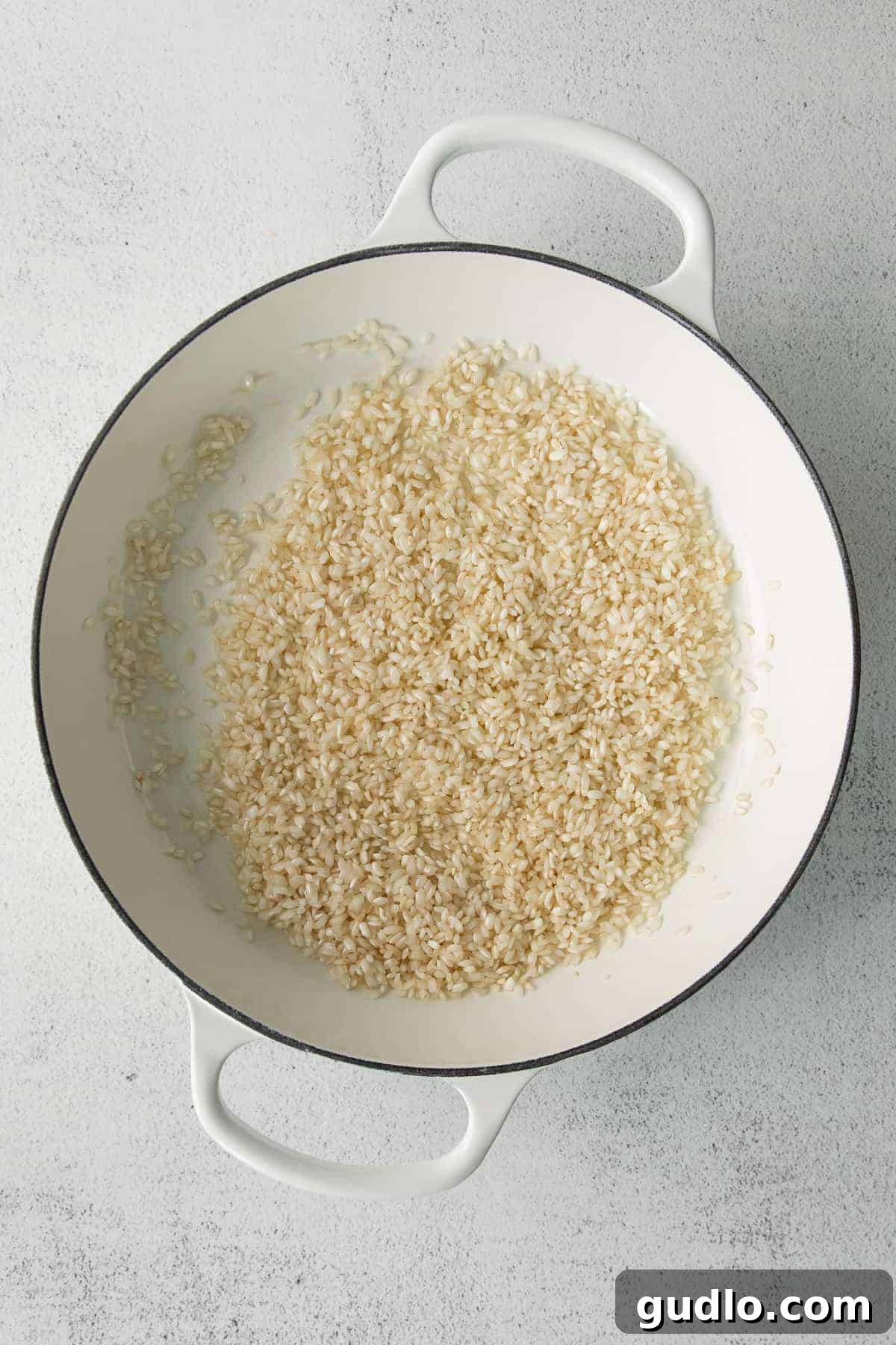 Premium arborio rice, the foundation of a perfect creamy risotto. Uncooked arborio rice resting in a pot, ready to be toasted for risotto preparation.