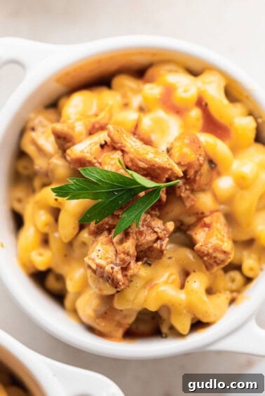 A beautifully plated serving of Buffalo Chicken Mac and Cheese.