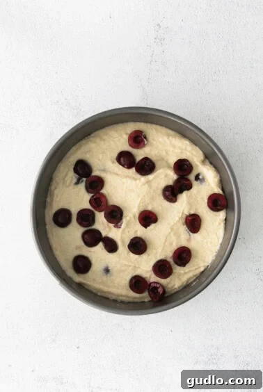 Velvety Cherry Ricotta Bliss 11 An unbaked Cherry Ricotta Cake batter in a cake pan, topped with fresh cherries, ready for the oven.