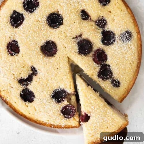 A beautiful slice of Cherry Ricotta Cake on a white plate, garnished with fresh cherries and powdered sugar.