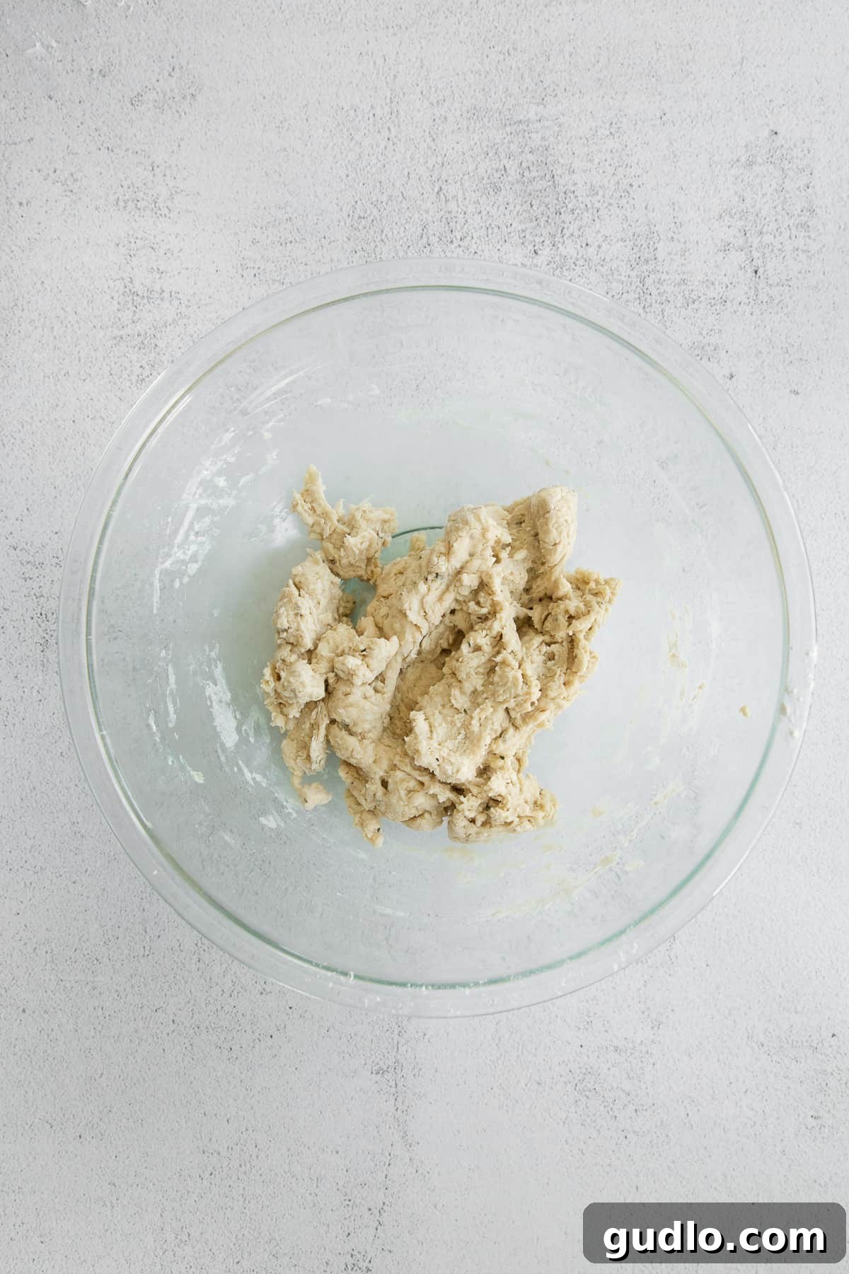 Focaccia Dough in First Rise Focaccia dough gently rising in an oiled bowl, covered with plastic wrap, demonstrating the first fermentation stage