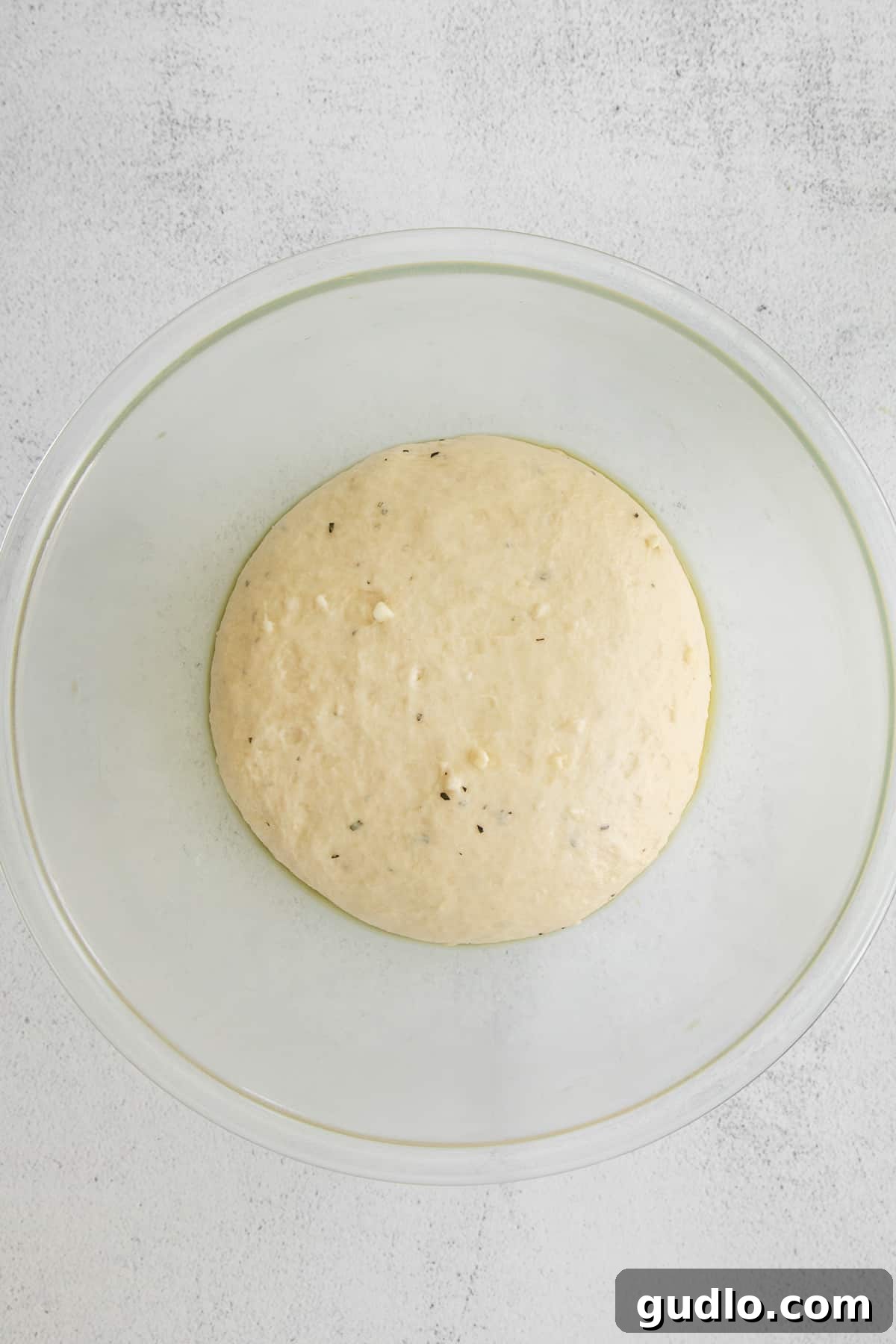 Focaccia Dough Rising to Perfection Focaccia dough after its first rise, perfectly doubled in size and showing a soft, airy texture within the bowl