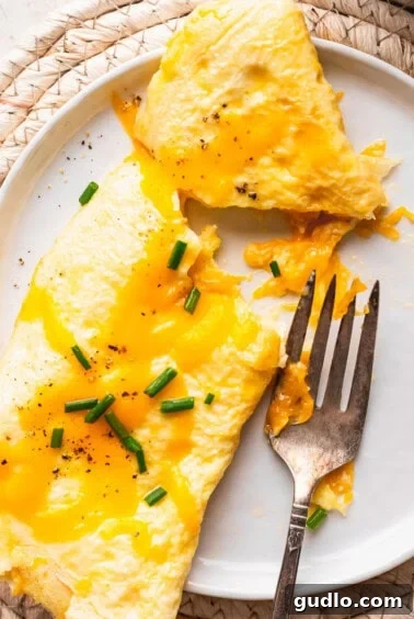 A beautifully presented cheese omelette on a plate, ready to be enjoyed.