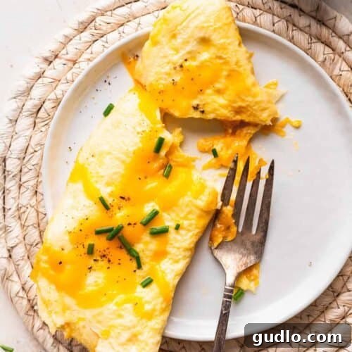A fluffy cheese omelette on a plate, ready to be served, highlighting its golden exterior and melted cheese.