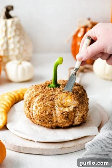 A beautifully presented pumpkin cheese ball on a serving platter with crackers.