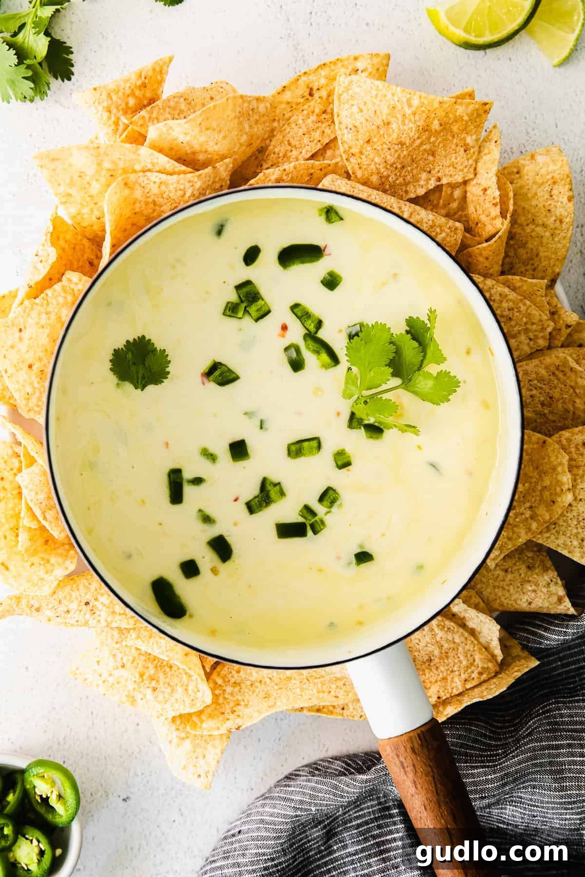 The Best Creamy Homemade Queso Dip Recipe A vibrant, golden homemade queso dip simmering in a cast iron pot, ready to be served with tortilla chips. Perfect for parties.