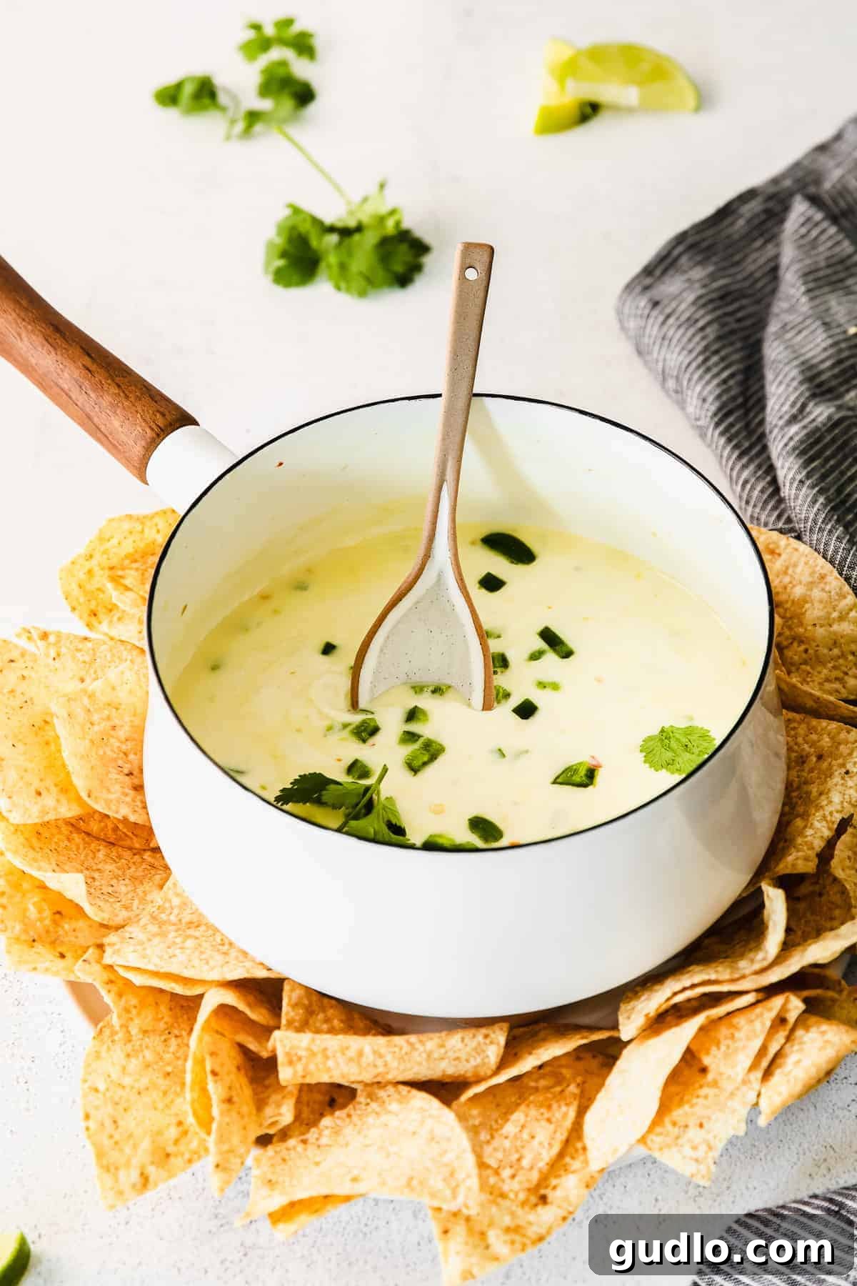Homemade Queso Dip - The Ultimate Party Appetizer A beautiful spread featuring a pot of homemade queso dip, surrounded by fresh tortilla chips, cilantro, and jalapeño slices.