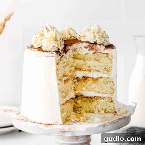 A stunning Tiramisu Layer Cake, beautifully frosted and dusted with cocoa.
