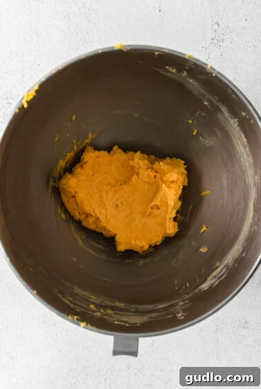 Homemade Golden Cheese Crackers 4 Mashed sweet potato in a mixing bowl, representing the dough consistency after water is added.