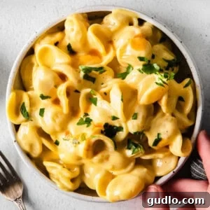 Creamy Velveeta Perfection 2 Close-up of creamy Mac and Cheese in a bowl