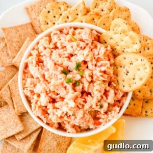 Ultimate Cheesy Crab Dip 3 A bowl of refreshing cold crab dip, garnished and ready to be served.