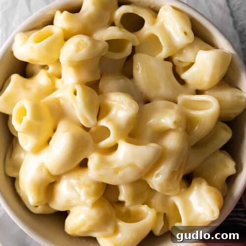 A bowl of creamy, delicious Panera Mac and Cheese, garnished with a sprinkle of fresh herbs.