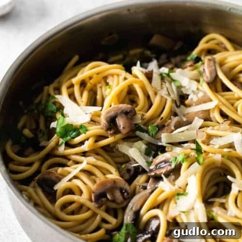 pasta with mushroom sauce
