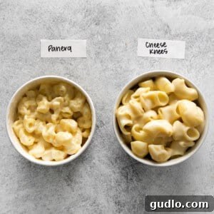 Garden Mac and Cheese 2 Two bowls of creamy Panera-style mac and cheese, garnished with fresh parsley.