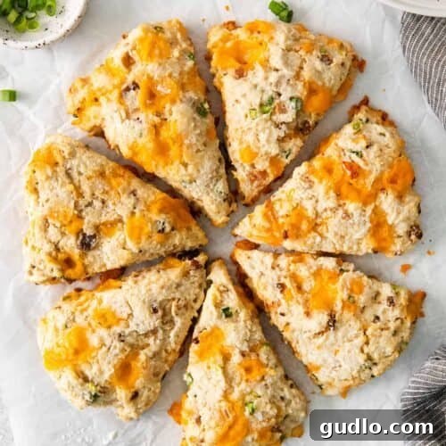 Perfectly Baked Savory Scones A beautifully golden and flaky Bacon Cheddar Scone, perfectly baked and ready to be served, highlighting its rich texture and savory appeal.