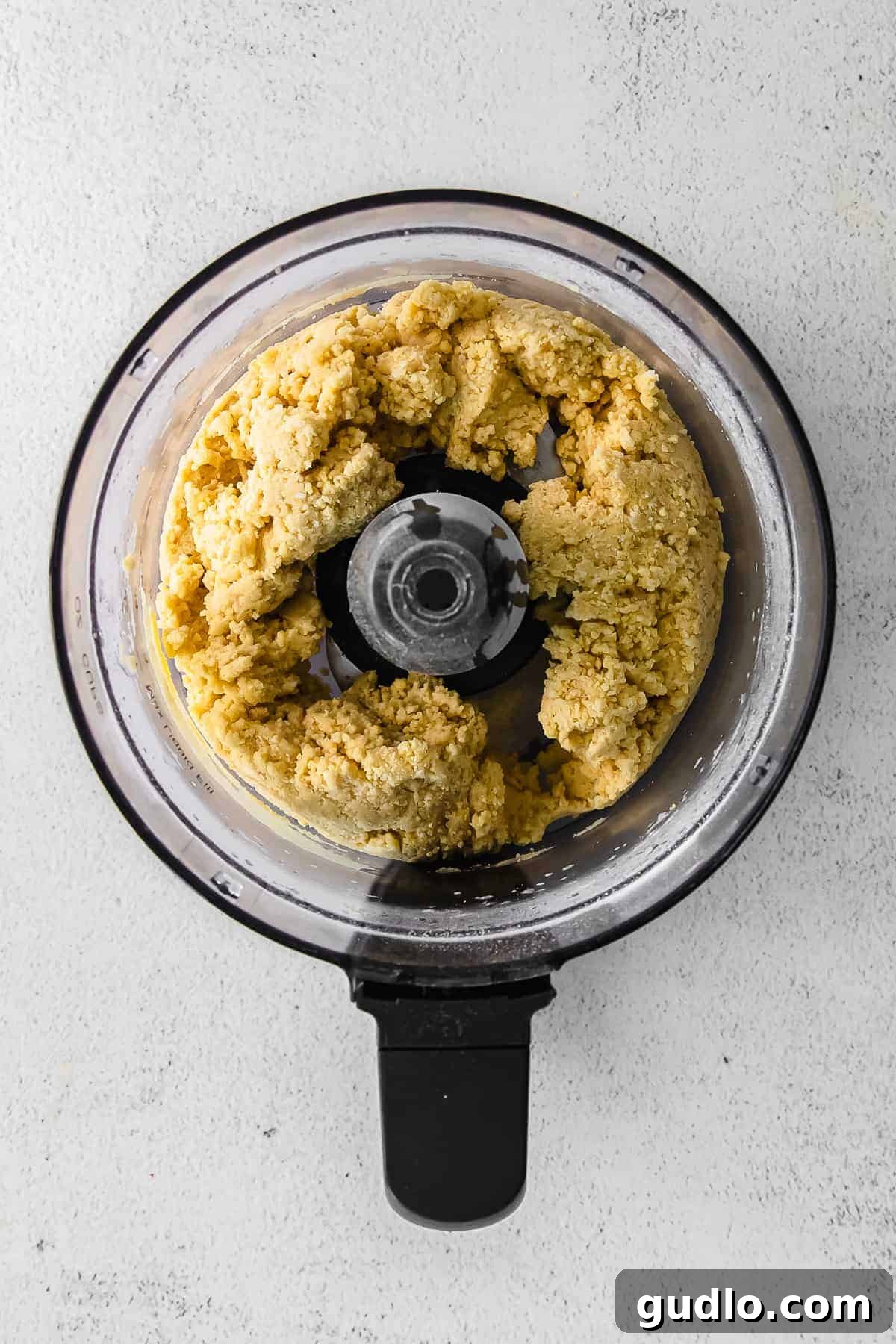 Pasta dough being mixed in a food processor, demonstrating the initial stage of dough preparation.