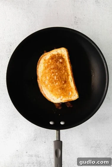 Fancy Grilled Cheese