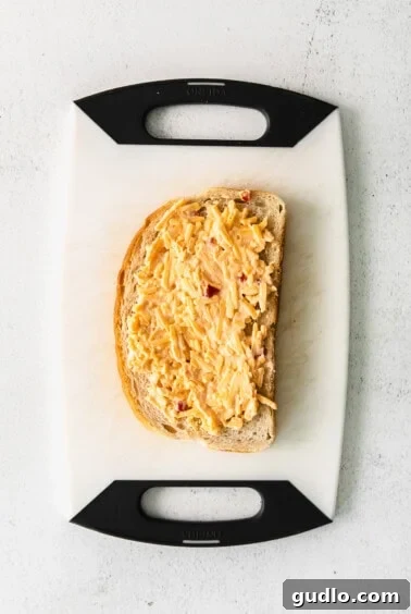 Fancy Grilled Cheese