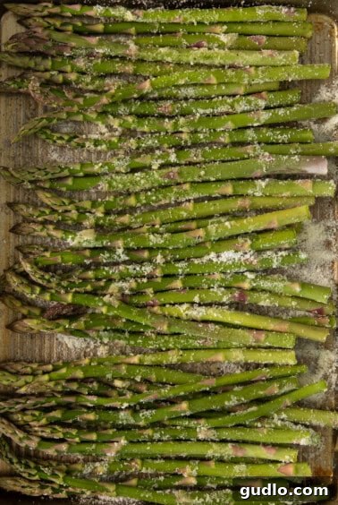 Parmesan-Crusted Asparagus 4 Asparagus spears mixed with olive oil, salt, pepper, and parmesan cheese on a baking pan before roasting.