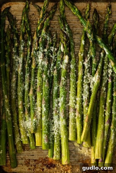 Parmesan-Crusted Asparagus 5 Partially roasted asparagus on a baking sheet, with parmesan cheese added for the second bake.